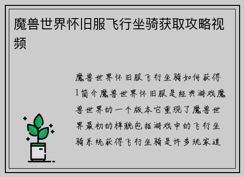 魔兽世界怀旧服飞行坐骑获取攻略视频